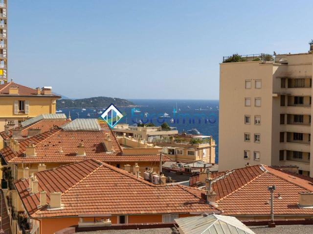 2 pièces ROOFTOP Limitrophe MONACO