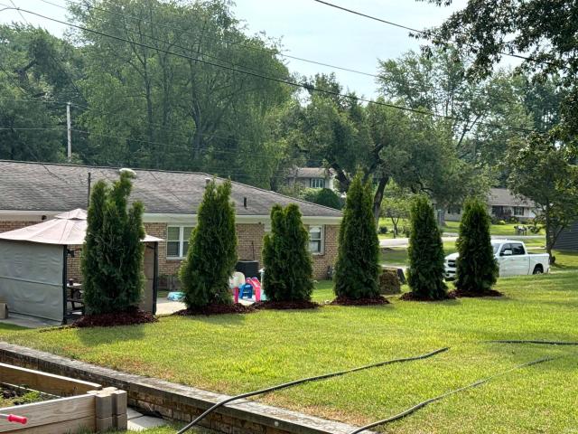 2 Pin Oak Drive