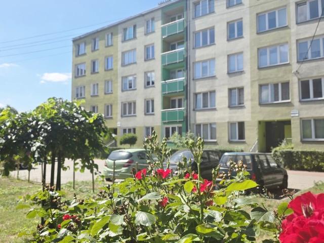 2 Pokojowe mieszkanie w Bytomiu Śródmieście balkon i piwnica