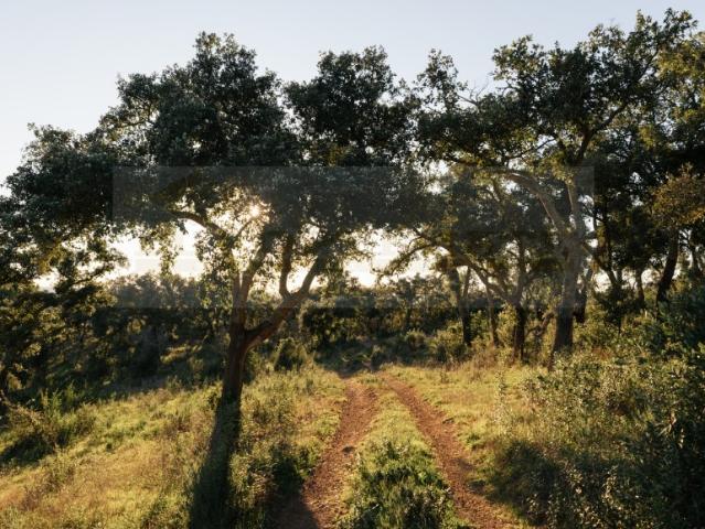 2 Propriedades em São Francisco da Serra