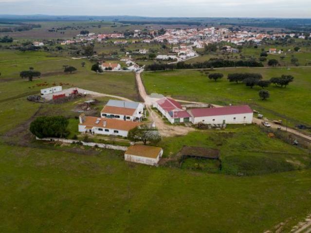 2 quarto, Viana do Alentejo Évora 98191944