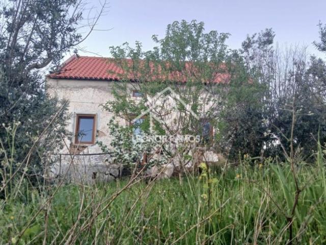 2 quarto, Castelo Branco Proença 6150 101015668