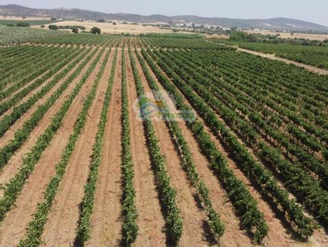 2 quarto, Évora Reguengos de Monsaraz 7200 104794345