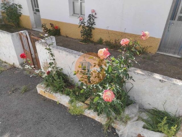 2 quarto, Faro Faro 103396226