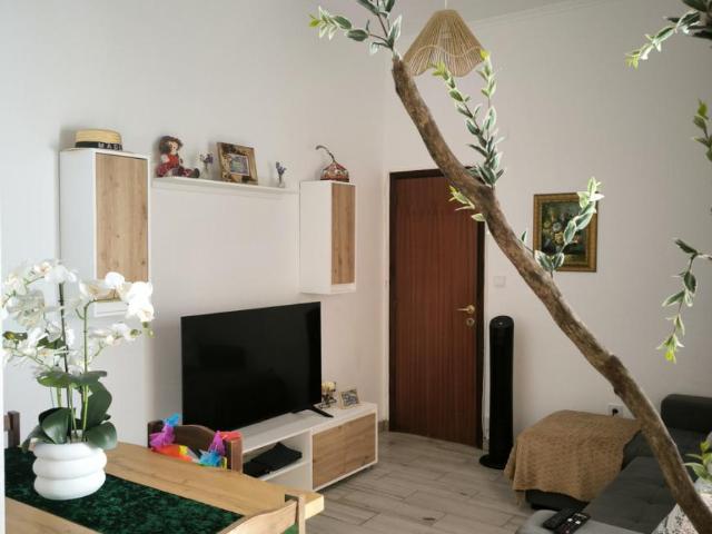 2 quarto, Funchal Funchal 105120545