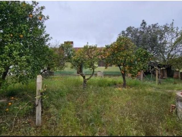 2 quarto, Grândola Grândola 96301291