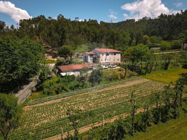 2 quarto, Guimarães Braga 99792297