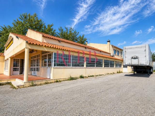 2 quarto, Leiria Óbidos 2510 101826826