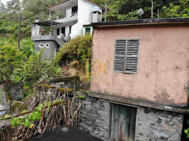2 quarto, Madeira São Vicente 9240 96649579