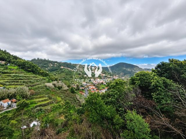 2 quarto, Madeira Santa Cruz 9135 105185782