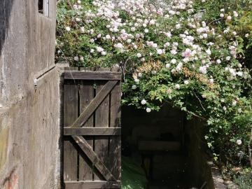 Casa para alugar em Alpendorada Várzea e Torrão - Jardim