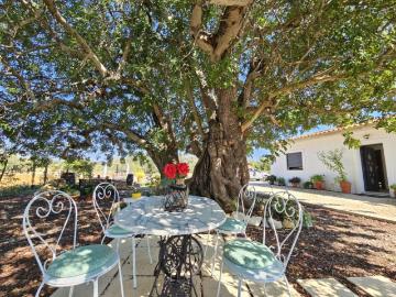 2 quarto, São Brás de Alportel São Brás de Alportel 99106384