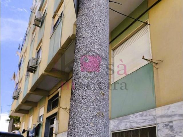 2 quarto, Setúbal Setúbal 105884783