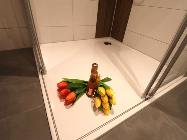 2 Raumwohnung mit Dusche, Aufzug und Balkon