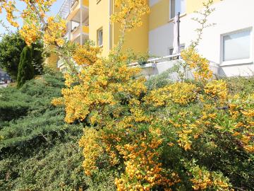 2 Raumwohnung im Erdgeschoss mit barrierefreiem Zugang