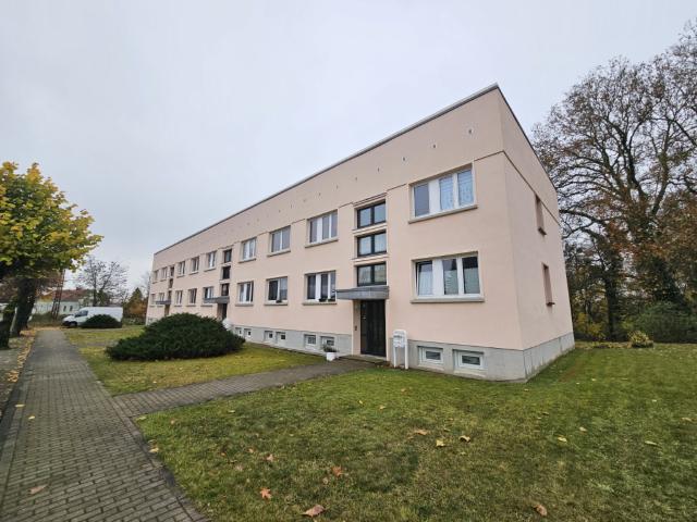 2 Raumwohnung in der Klieken zu vermieten