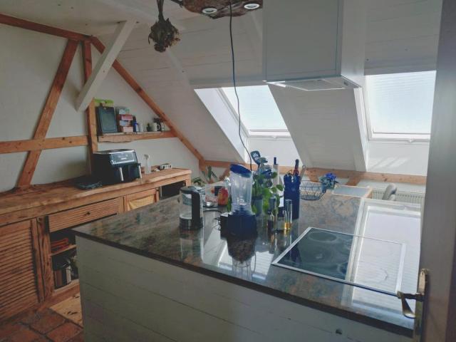 2 Raumwohnung Kamin, Einbauküche / 790 EUR Warm