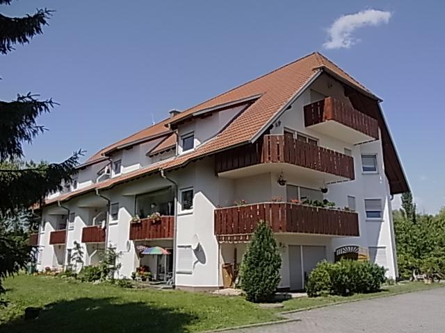 2 Raum EG Wg. mit Terrasse und Grünbereich, in Nempitz. EBK, Bad mit Fenster und Wanne, Pkw SP