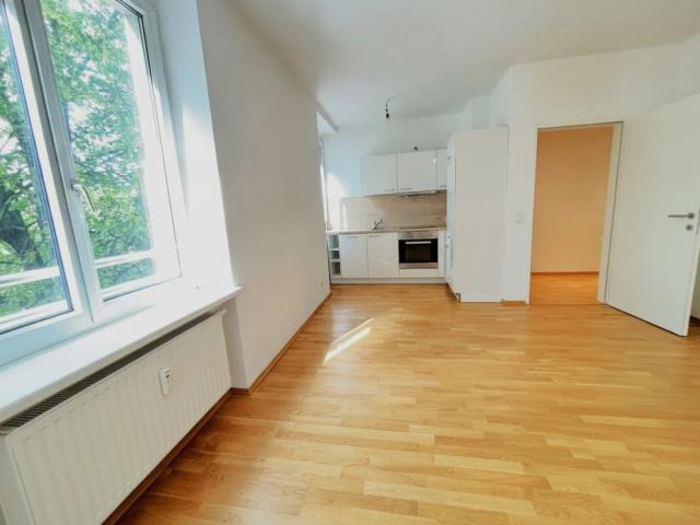 2 Raum Wohnung unweit der Donaulände!