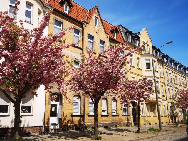 2 Raum Wohnung in zentrumsnaher Lage!