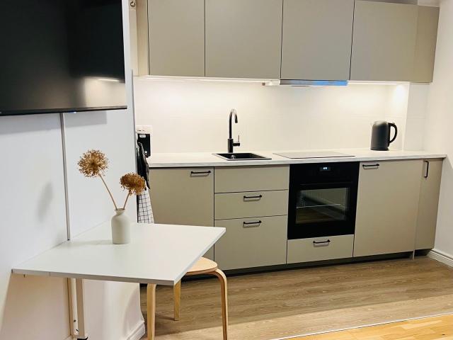 2 room apartment, newly renovated, first occupancy, near BER Airport Berlin Amsterdam Apartments for Rent
