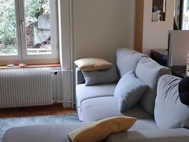 2 ROOM APARTMENT BIEL/BIENNE BE, FURNISHED, FIXED TERM