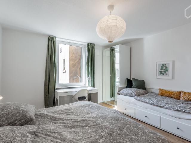 2 room apartment: central, newly renovated and beautiful close to the beaches, Rheinpark, exhitibition center and train station