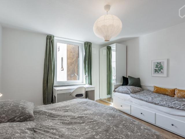 2 room apartment: central, newly renovated and beautiful close to the beaches, Rheinpark, exhitibition center and train station, Koln Amsterdam Apartments for Rent