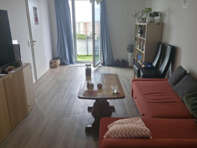2 room Apartment for Rent