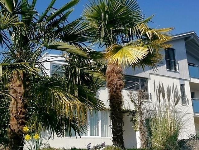 2 room apartment in Merlischachen SZ, furnished, temporary