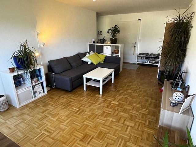 2 ROOM APARTMENT IN NIDAU BE, FURNISHED, TEMPORARY