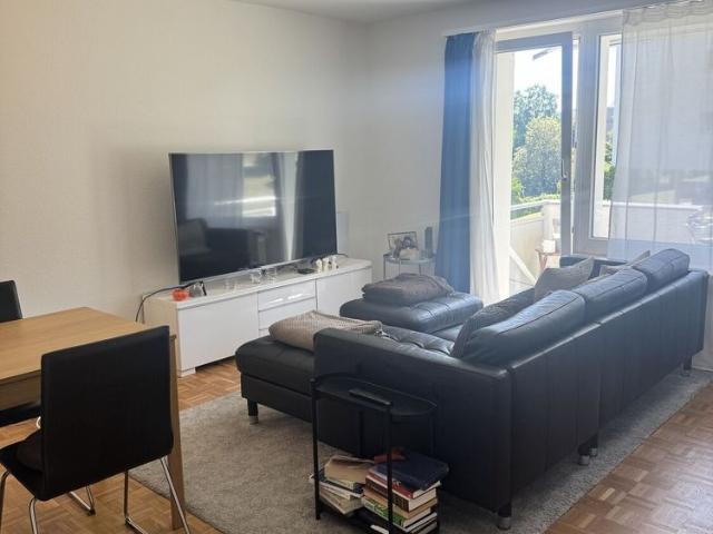 2 ROOM APARTMENT IN ADLISWIL ZH, FURNISHED, TEMPORARY
