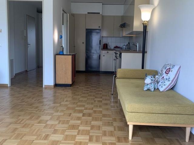 2 ROOM APARTMENT IN BASEL KLYBECK, FURNISHED, TEMPORARY