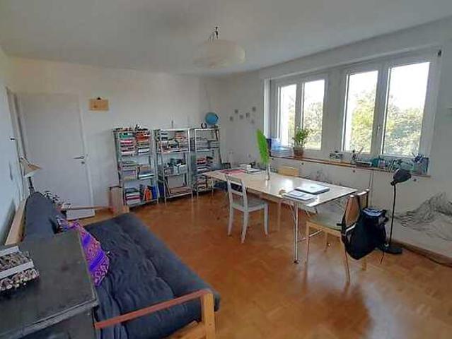 2 room apartment in Basel St. Johann, furnished, temporary