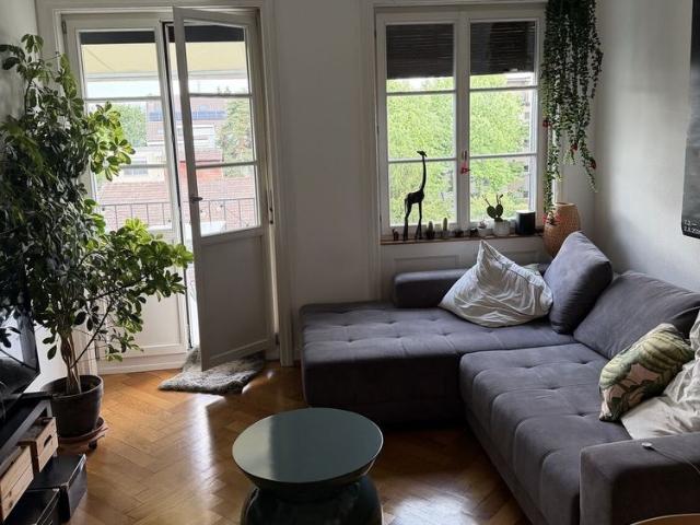 2 ROOM APARTMENT IN BASEL ST. JOHANN, FURNISHED, TEMPORARY