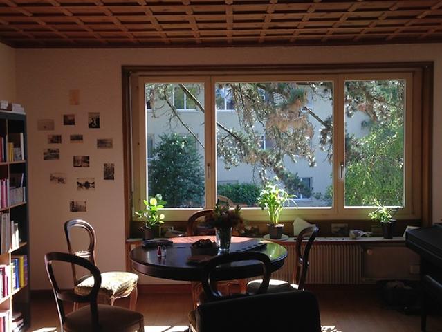 2 room apartment in Bern Kirchenfeld, furnished