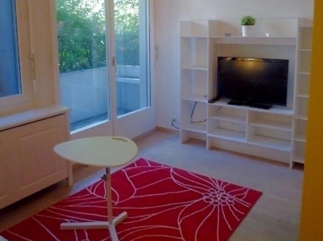 2 ROOM APARTMENT IN BERN OSTRING, FURNISHED