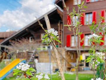 Verwaltungskreis Interlaken-Oberhasli, Verwaltungsregion Oberland, Kanton Bern