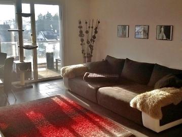 Dietikon, Bezirk Dietikon, Kanton Zürich