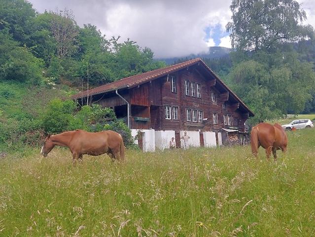 2½ room apartment in Hasliberg Hohfluh BE, furnished, temporary