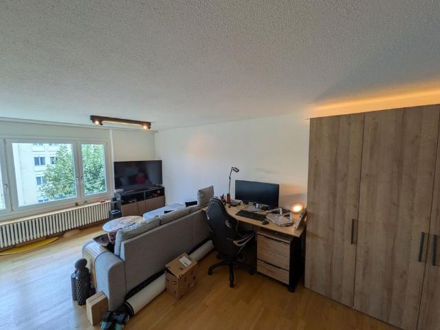 2 ROOM APARTMENT IN LUCERNE, FURNISHED, TEMPORARY