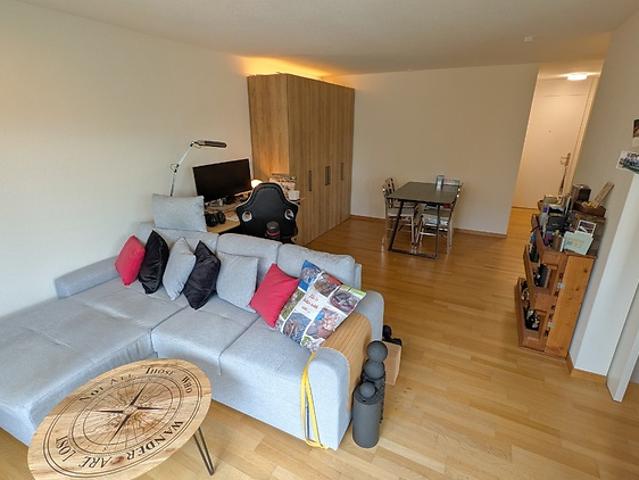 2 room apartment in Luzern, furnished, temporary
