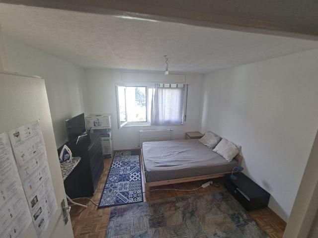 2 ROOM APARTMENT IN LAUSANNE MONTOIE/BOURDONETTE, FURNISHED, FIXED TERM