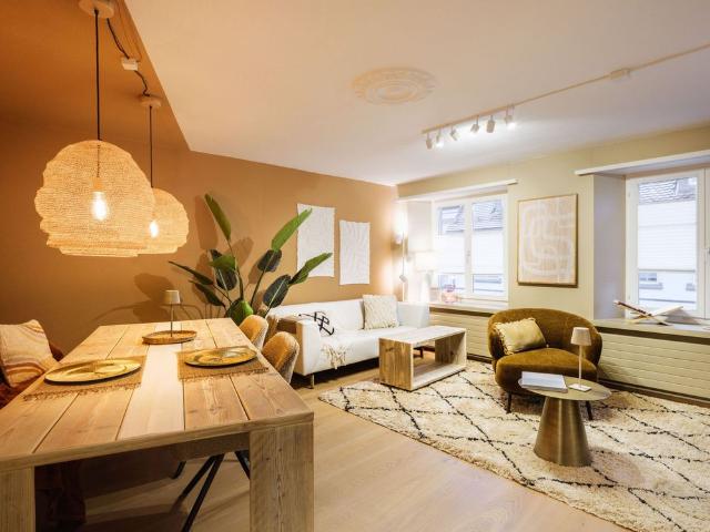 2 ROOM APARTMENT IN STECKBORN TG, FURNISHED, TEMPORARY