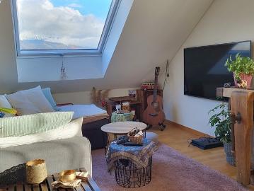2 room apartment in Thun BE, furnished, temporary