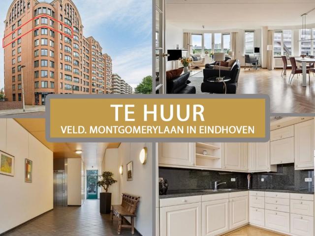 2 room apartment to let in Veldmaarschalk Montgomerylaan, Eindhoven, Nederland