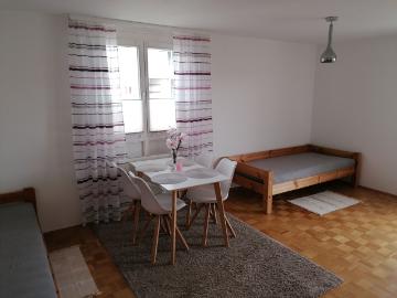 2 room furnished apartment with fitted kitchen, east south balcony