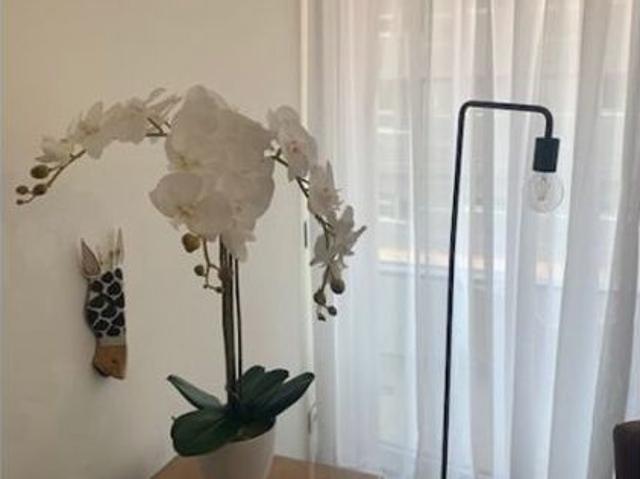 2 room luxury Flat for rent in Las Palmas de Gran Canaria, Spain