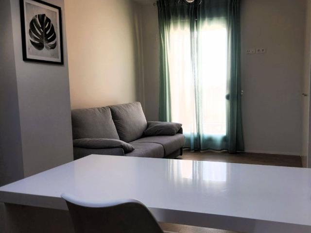 2 room luxury penthouse for rent in Valencia