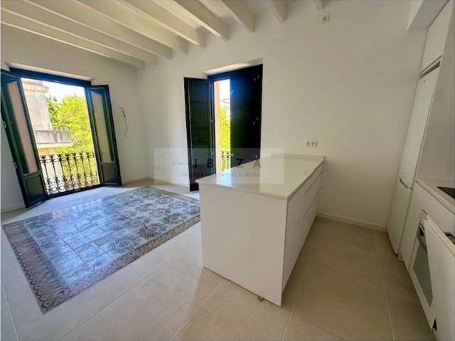 2 room luxury penthouse for rent in Ibiza, Spain
